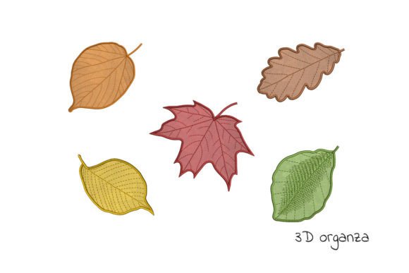 Autumn Leaves Set Review for Small Business