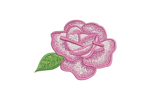 Рink Rose Flower: A Designer's Review for Personalized Gifts